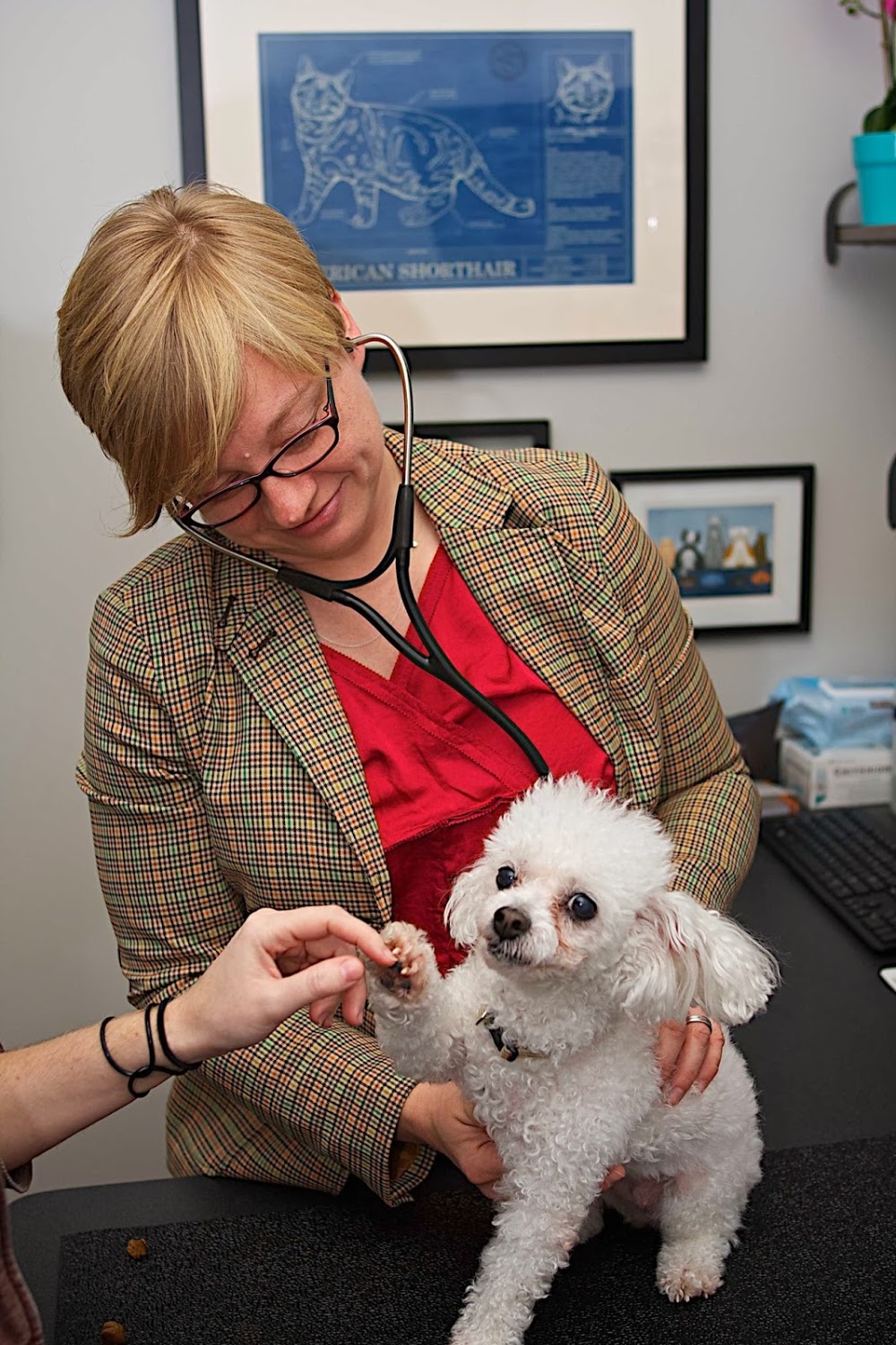 Bayou City Veterinary Hospital