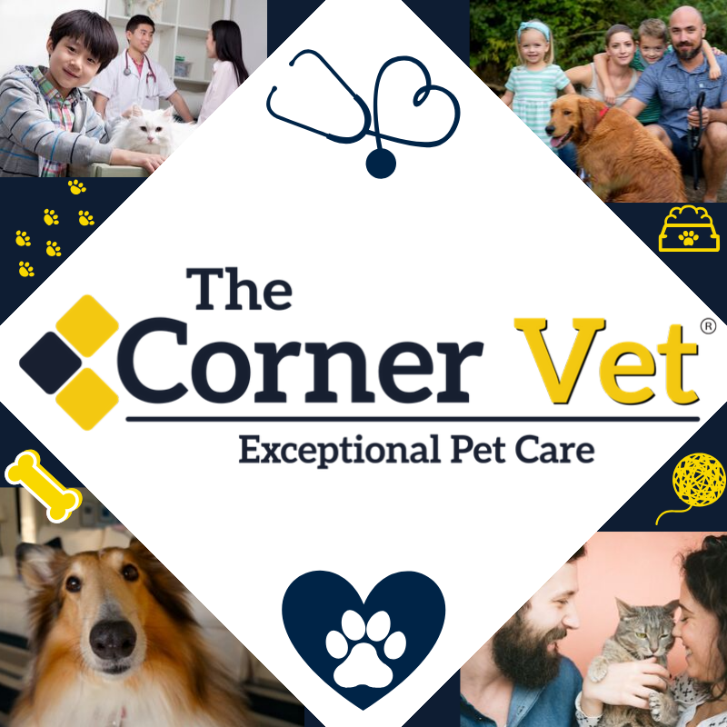 The Corner Vet at Houston Heights